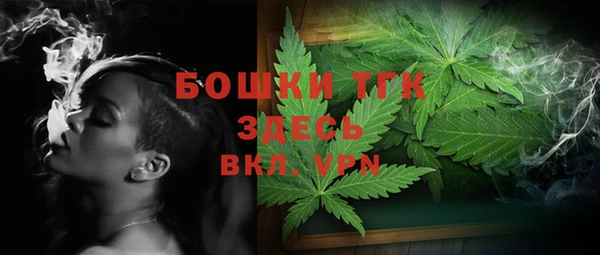 прущие грибы Баксан