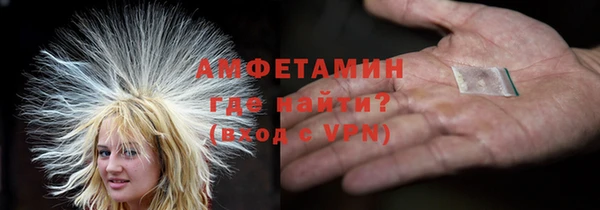 прущие грибы Баксан