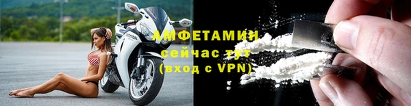 прущие грибы Баксан